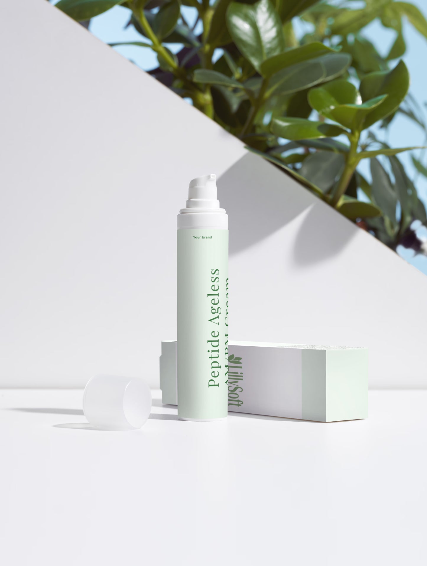 Peptide Ageless AM/PM Cream